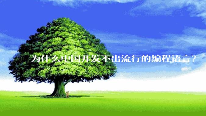 为什么中国开发不出流行的编程语言？