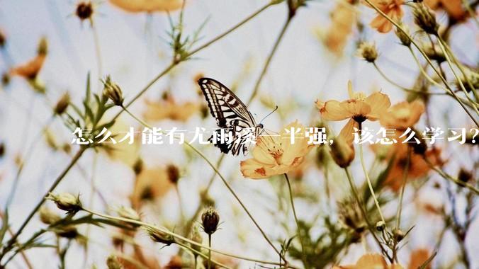 怎么才能有尤雨溪一半强，该怎么学习？