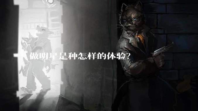 做明星是种怎样的体验？