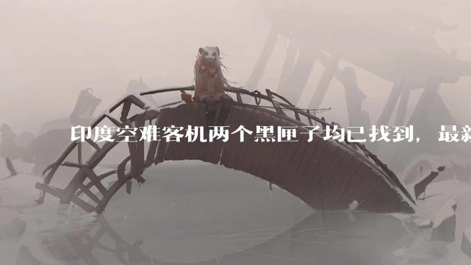 印度空难客机两个黑匣子均已找到，最新发现的为驾驶舱语音记录器，会对事故调查带来哪些帮助？