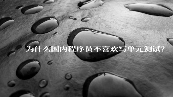为什么国内程序员不喜欢写单元测试？